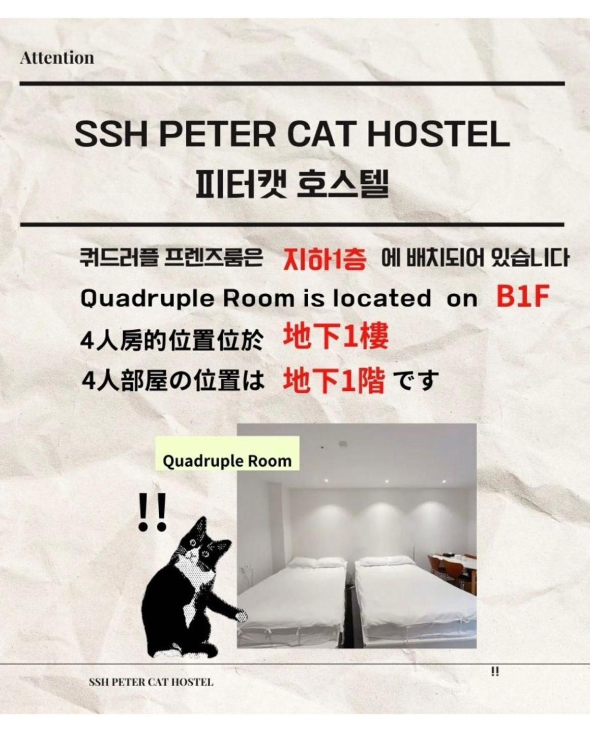 Ssh Ikseon Peter Cat Hostel Сеул Екстер'єр фото